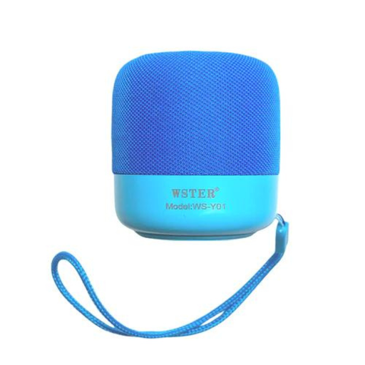WSTER WS-Y01 Wireless Stereo Speaker