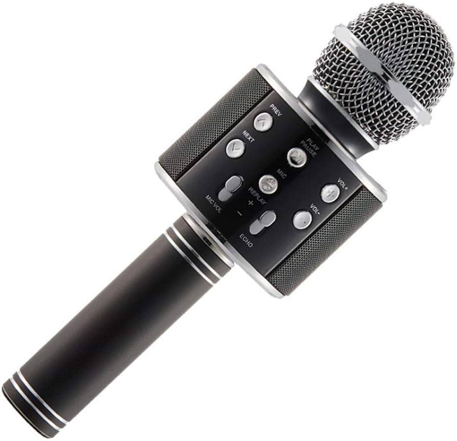 Speaker Microphone Wireless WS-858