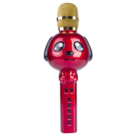 Wireless Microphone+Speaker  KT09