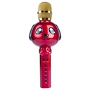 Wireless Microphone+Speaker  KT09