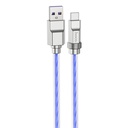 Hoco Cable Solid PD 100W U113