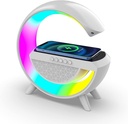 Speaker Charging Wireless HM-2301