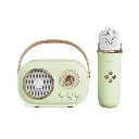 Portable Wireless Speaker - C20 Plus