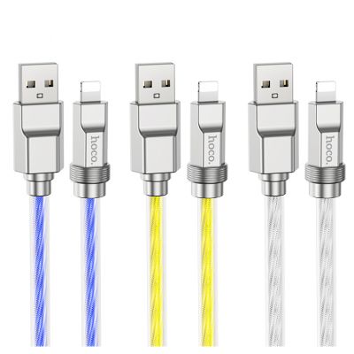 Hoco Cable Solid PD 100W U113