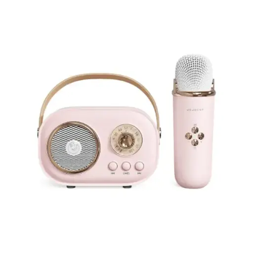 Portable Wireless Speaker - C20 Plus