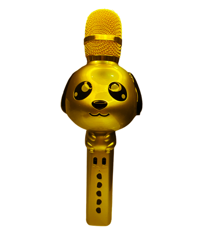 Wireless Microphone+Speaker  KT09