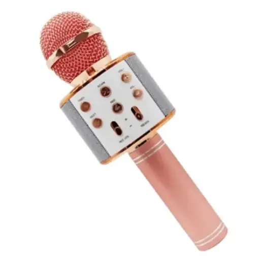 [MIC-WS-858] Speaker With Microphone WS-858